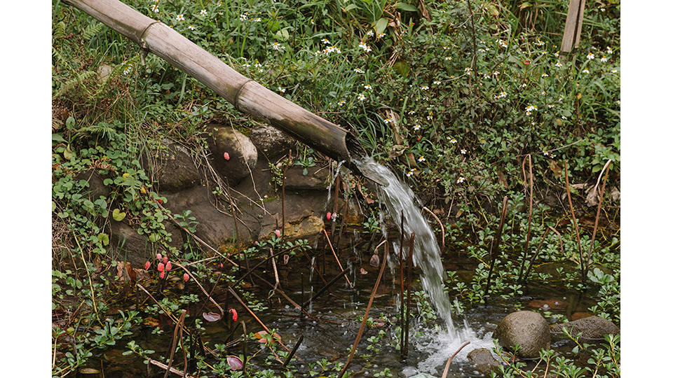 維護水源品質是生態池能否成功建立的關鍵。